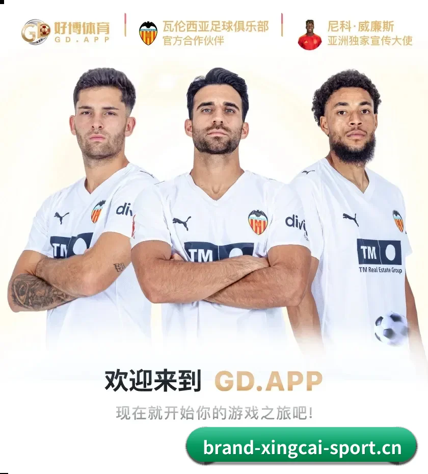 初始化完成！欢迎接入纯粹竞技的数字前哨