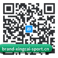 iOS 极速版客户端 二维码